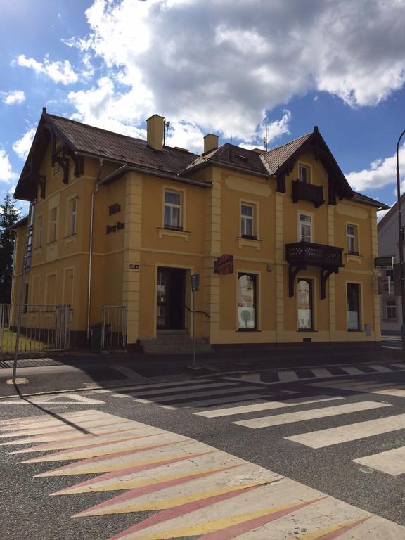 Františkovy Lázně Pension Vidhous 1 מראה חיצוני תמונה